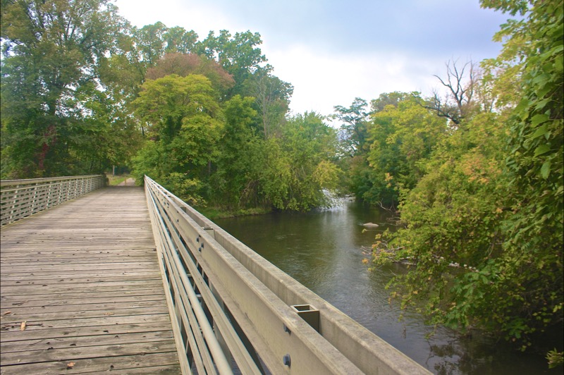 Albion River Trail